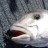 Shizz's Samsonfish Jig Swallower